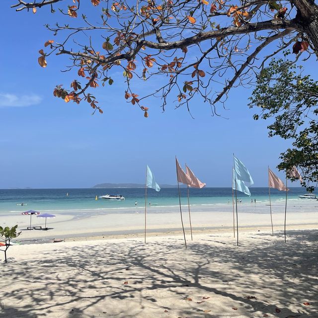 Koh Larn ,Thailand 