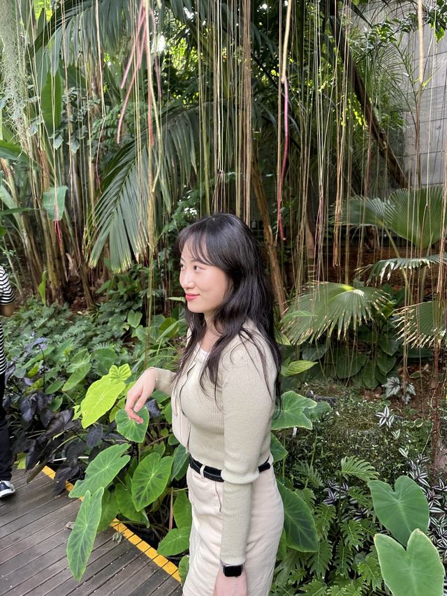 서울 마곡 실내데이트 추천🌿 [서울식물원]