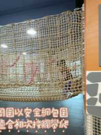 30,000呎超大嘅室內歷險樂園