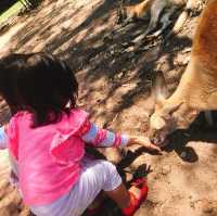 Animal fun at Caversham Wildlife Park