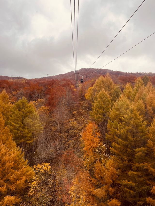 Zao ropeway ใน Autumn vibe 🍂