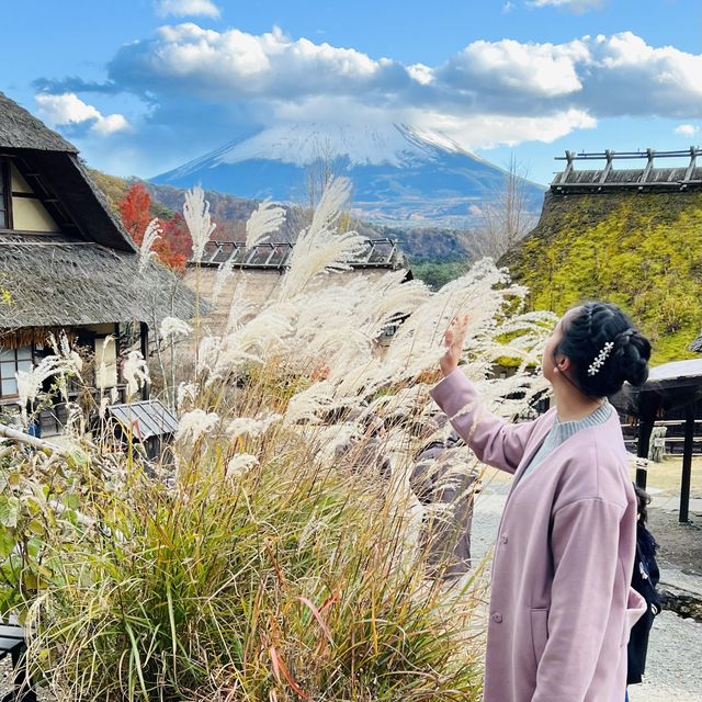 Iyashino-Sato Nenba Healing Village