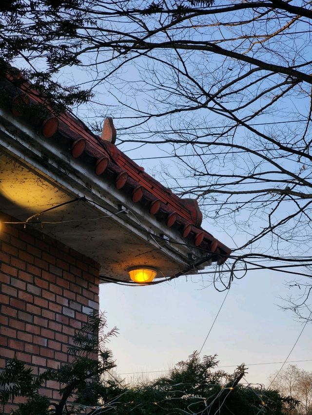경기도 여주 여행에는 크리스마스 트리 카페 연양정원