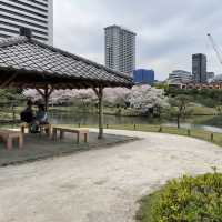 都会のオアシス！旧芝離宮恩賜庭園