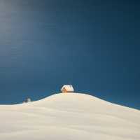 On Cloud Nine ศิลปะแง่บวก