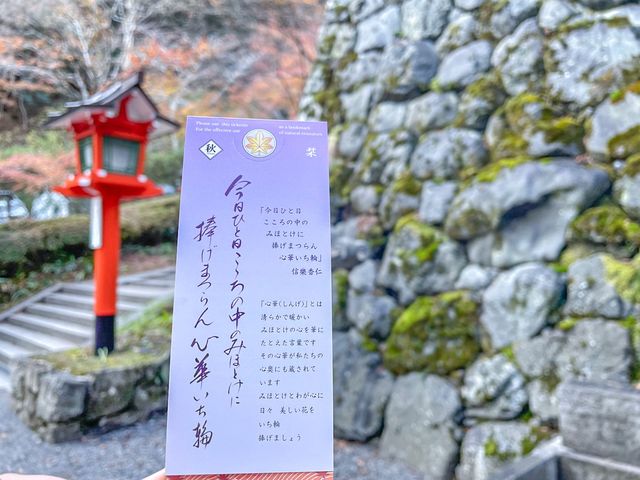 교토의 조용한 사찰에서의 단풍구경🍂