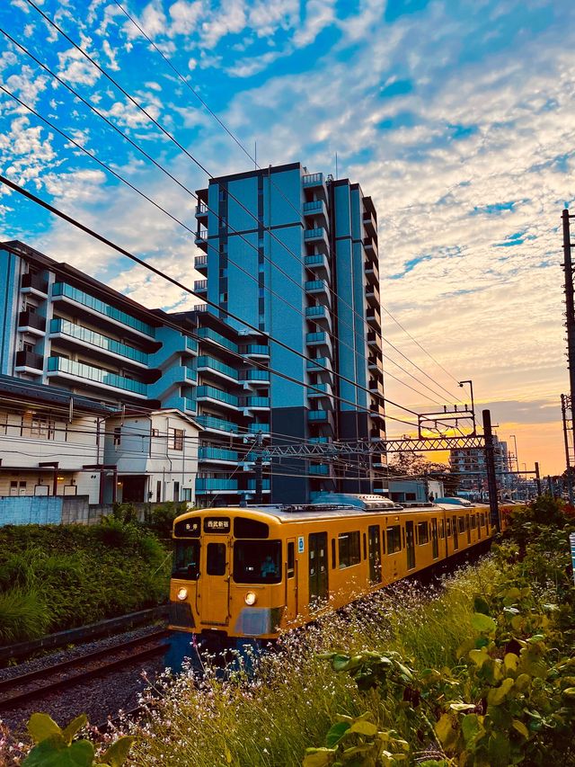 Bustling life in Tokyo 🇯🇵