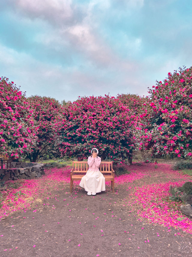 겨울 제주여행을 간다면 꼭 가야하는 동백포레스트🌺