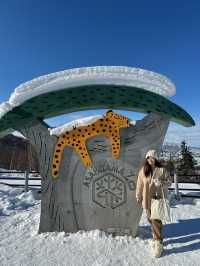 【北海道旅遊】旭山動物園企鵝仔巡遊，join day tour省心