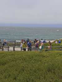 Boulders Beach : Simon's Town หาดแพนกวิ้น