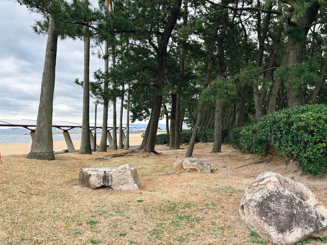 เดินเล่นสวนสาธารณะริมทะเล 🌊🇯🇵