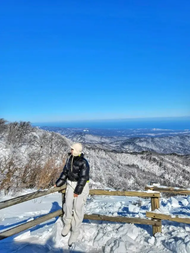 그냥 서있기만 해도 그림이 되는 겨울여행은 여기 ✨️