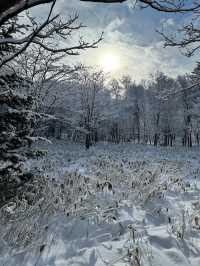 Shiretoko National Park in winter