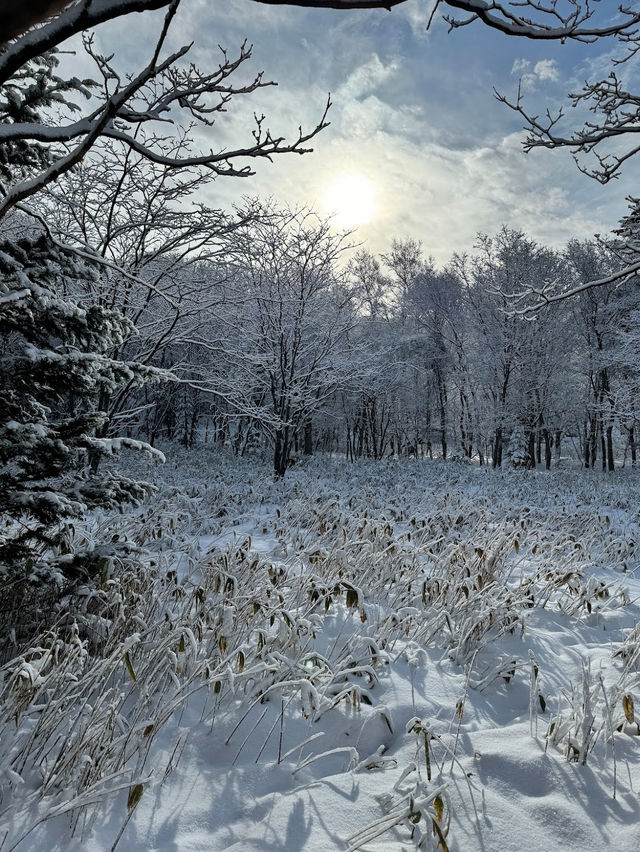 Shiretoko National Park in winter
