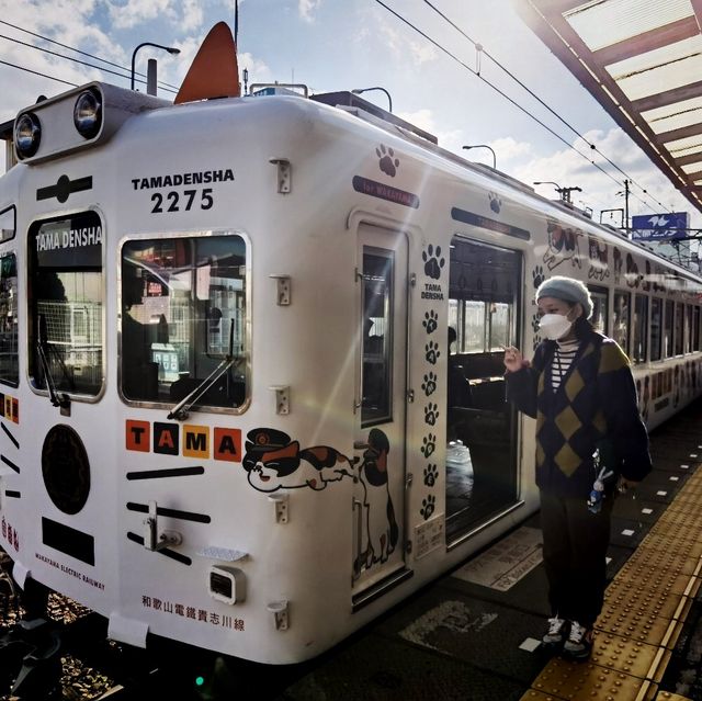 【貴志駅😺】來探探最可愛的駅站長——二代玉