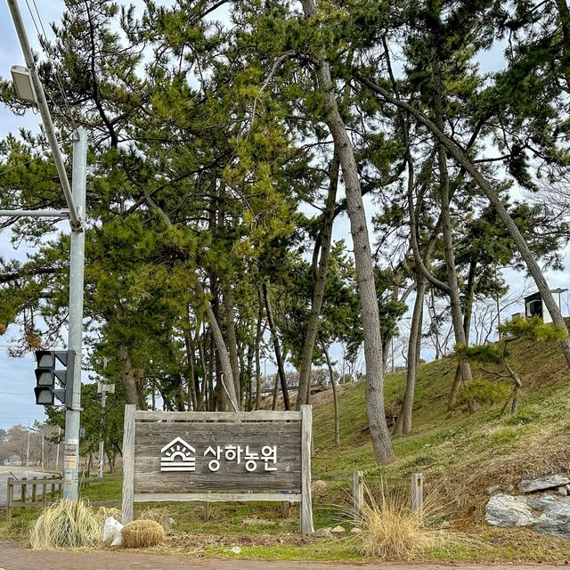 있는 그대로 모든게 좋은 상하농원
