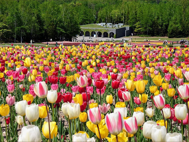 Takino Suzuran Hillside Park