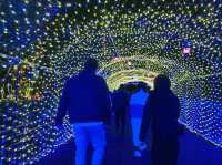 Illumination Hirakata Park