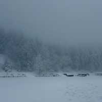 대관령에서 발견한 북해도 감성 스팟❄️