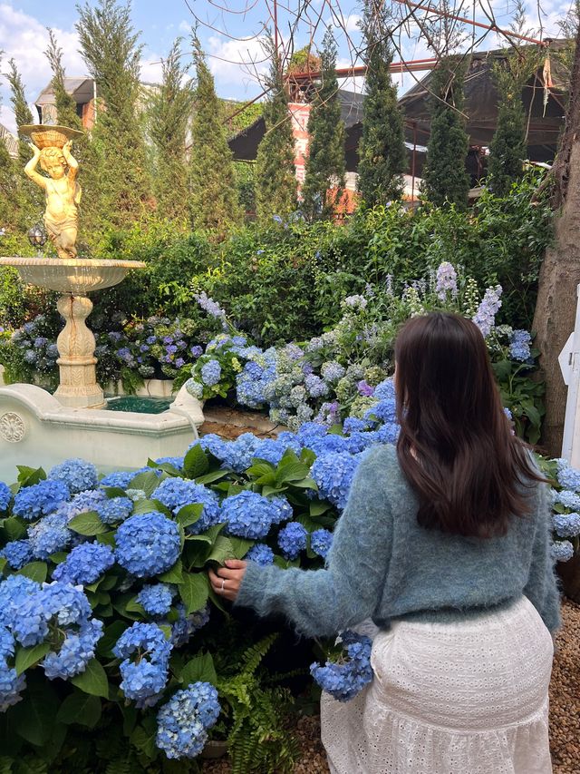 不在國外在深圳💐我找到了莫奈花園！超好拍