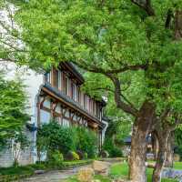 農禪寺！靜謐氣息世外桃源