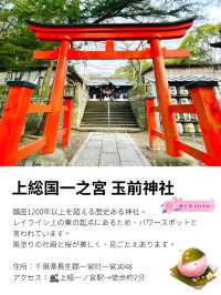 【玉前神社/千葉県】黒塗り社殿と桜の共演