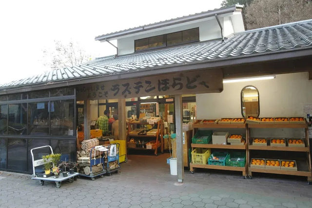【都ホテル 岐阜長良川】ホテルスタッフおすすめ観光コース 「ぎふ旅巡り」vol.1『山県市近郊　春・満喫コース』