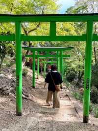 【栃木】足利織姫神社で七つの良い縁をゲットしよう