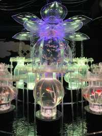 【アートアクアリウム美術館 GINZA /東京都】春を先取り！幻想的空間の桜と金魚