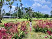 Ao Nang Elephant Sanctuary