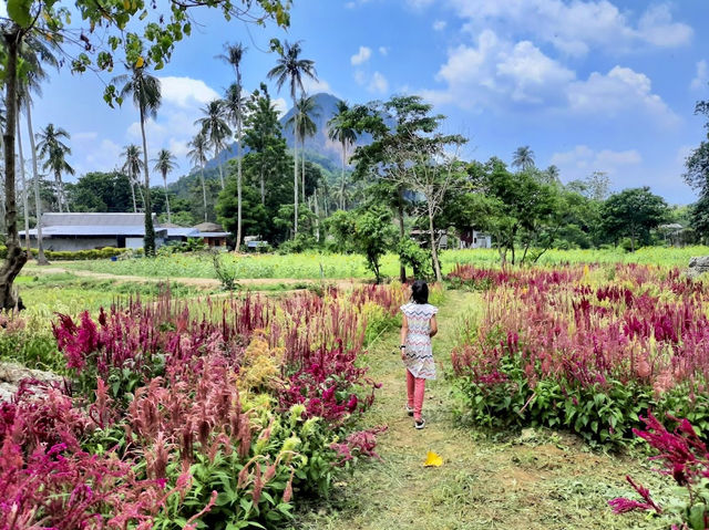 Ao Nang Elephant Sanctuary