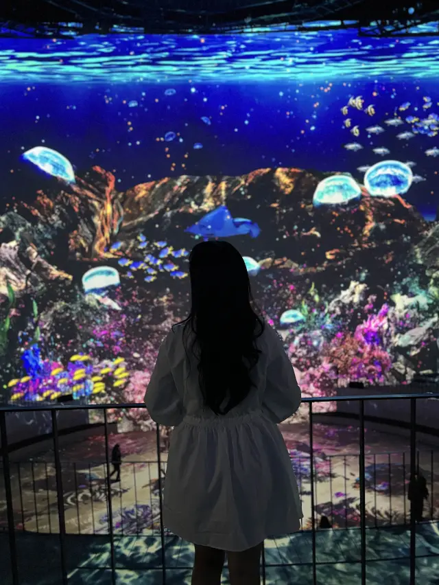 노형수퍼마켙 티켓 할인, 운영 시간, 후기 [2025년] | Trip.com