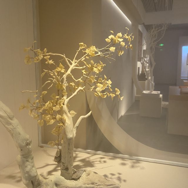 合肥｜🎨安徽省美術館🖼️