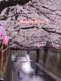 Meguro River