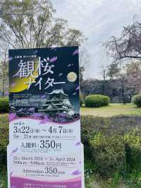 【大阪府】夜桜が美しい大阪城西の丸庭園
