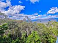 Scenic World