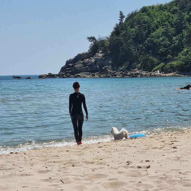 해수욕🏖️즐기고싶을때 ‘양양설악해수욕장’