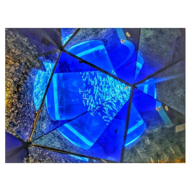 香港海洋公園萬豪酒店