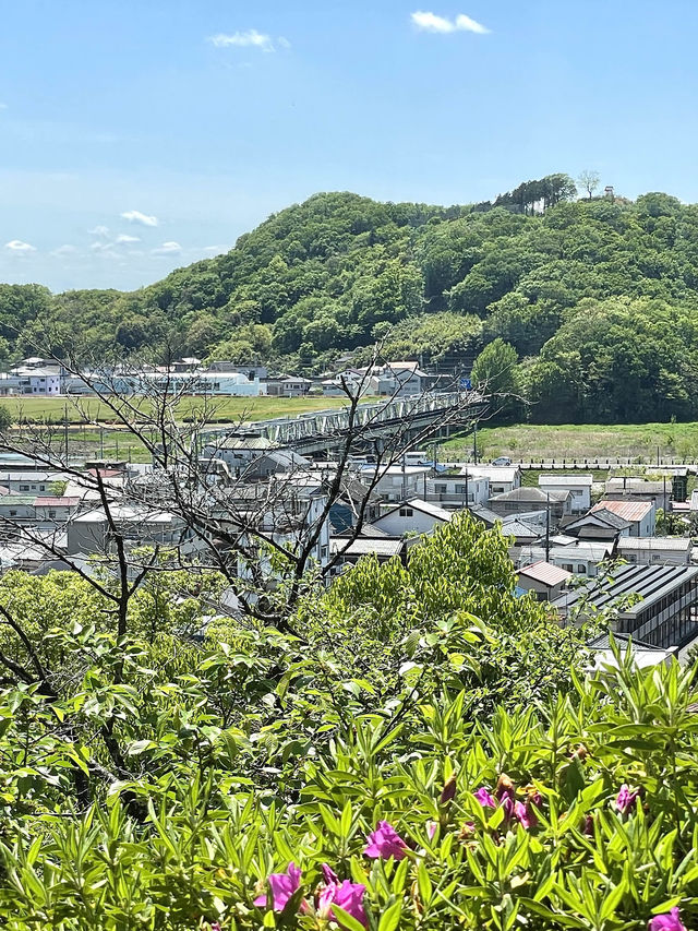 【蕎遊庵/栃木県】色彩美しい「縁結びそば」