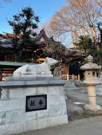 【小金井神社/東京都】緑生い茂る境内に石臼塚と弓道場