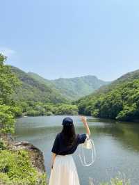 싱그러운 봄 여행지💚