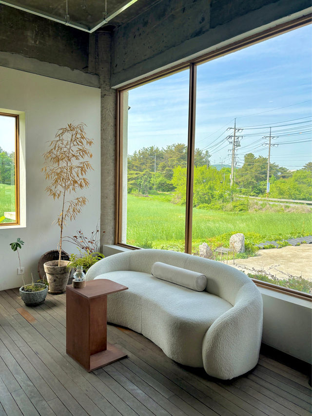 청보리밭에서 폴라로이드를 찍을 수 있는 경주여행🍃💚