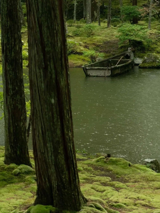 綠色秘境：西芳寺，苔之詩篇