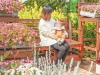 フォトスポットたくさん！伊良湖菜の花ガーデン