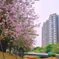 澳門花城公園：自然禪境～漫步放鬆