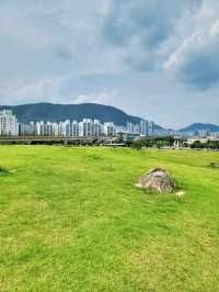 도심에서 즐기는 초록동산 고분군💚