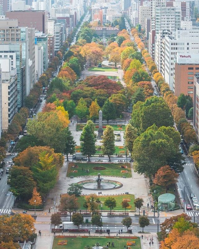 park is spacious in heart of city