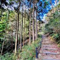 岩門の滝