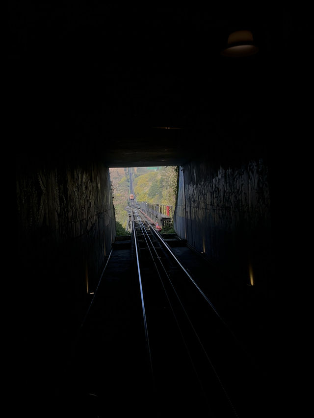 Fansipan Cable Car: Where Clouds and Laughter Collide!