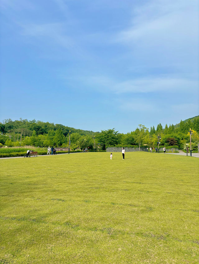 북카페가 있는 서울의 한적한 푸른수목원💚